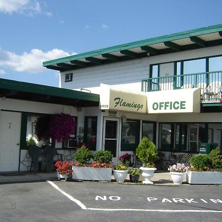 Flamingo Motel Penticton Eksteriør bilde