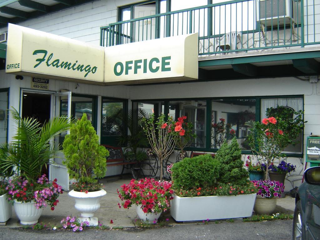 Flamingo Motel Penticton Eksteriør bilde
